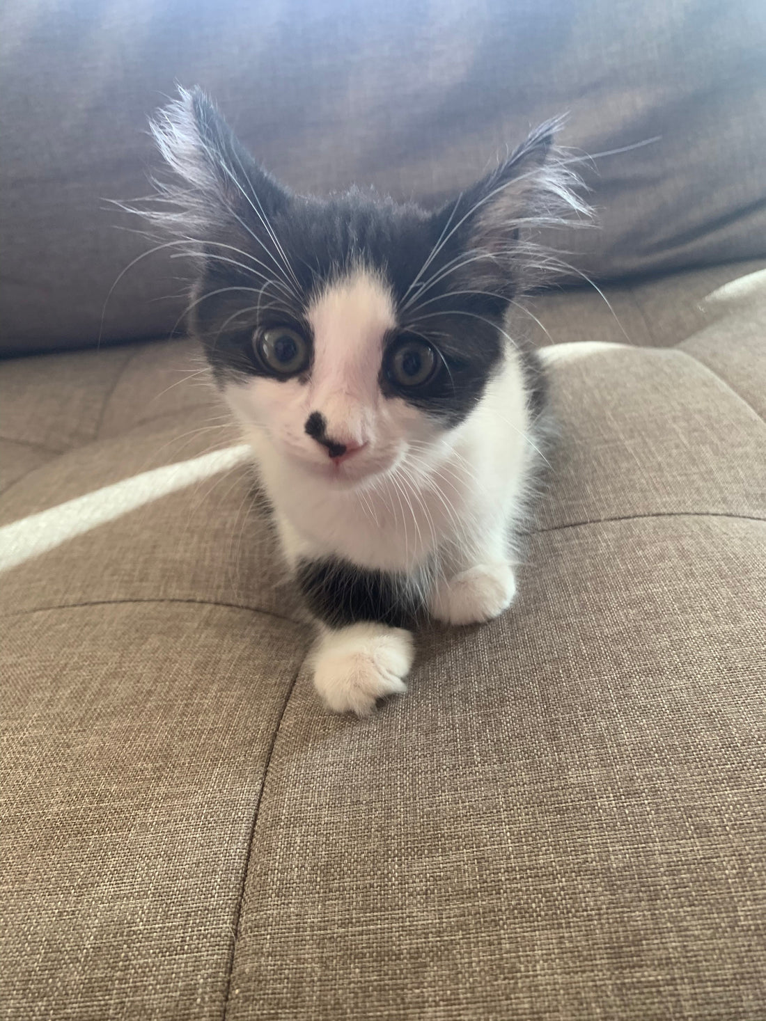 The ending and beginnings of a new era- for Kolohe and I.