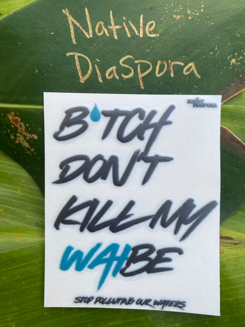 B*tch Don't Kill My Waibe