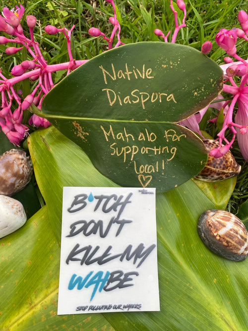 B*tch Don't Kill My Waibe