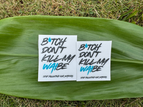 B*tch Don't Kill My Waibe