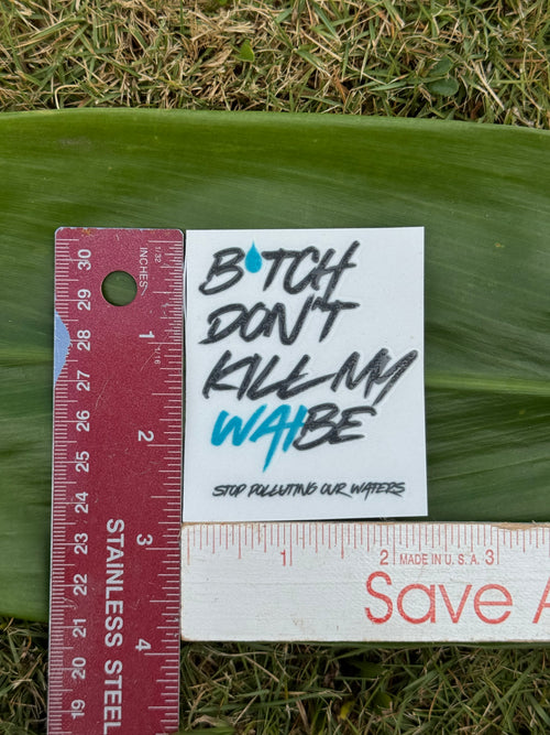 B*tch Don't Kill My Waibe