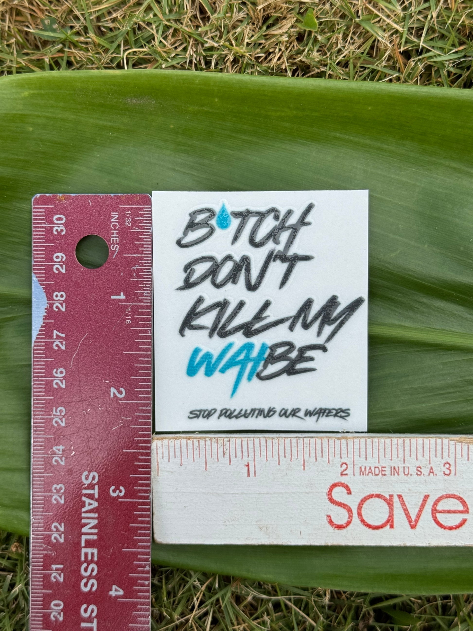 B*tch Don't Kill My Waibe