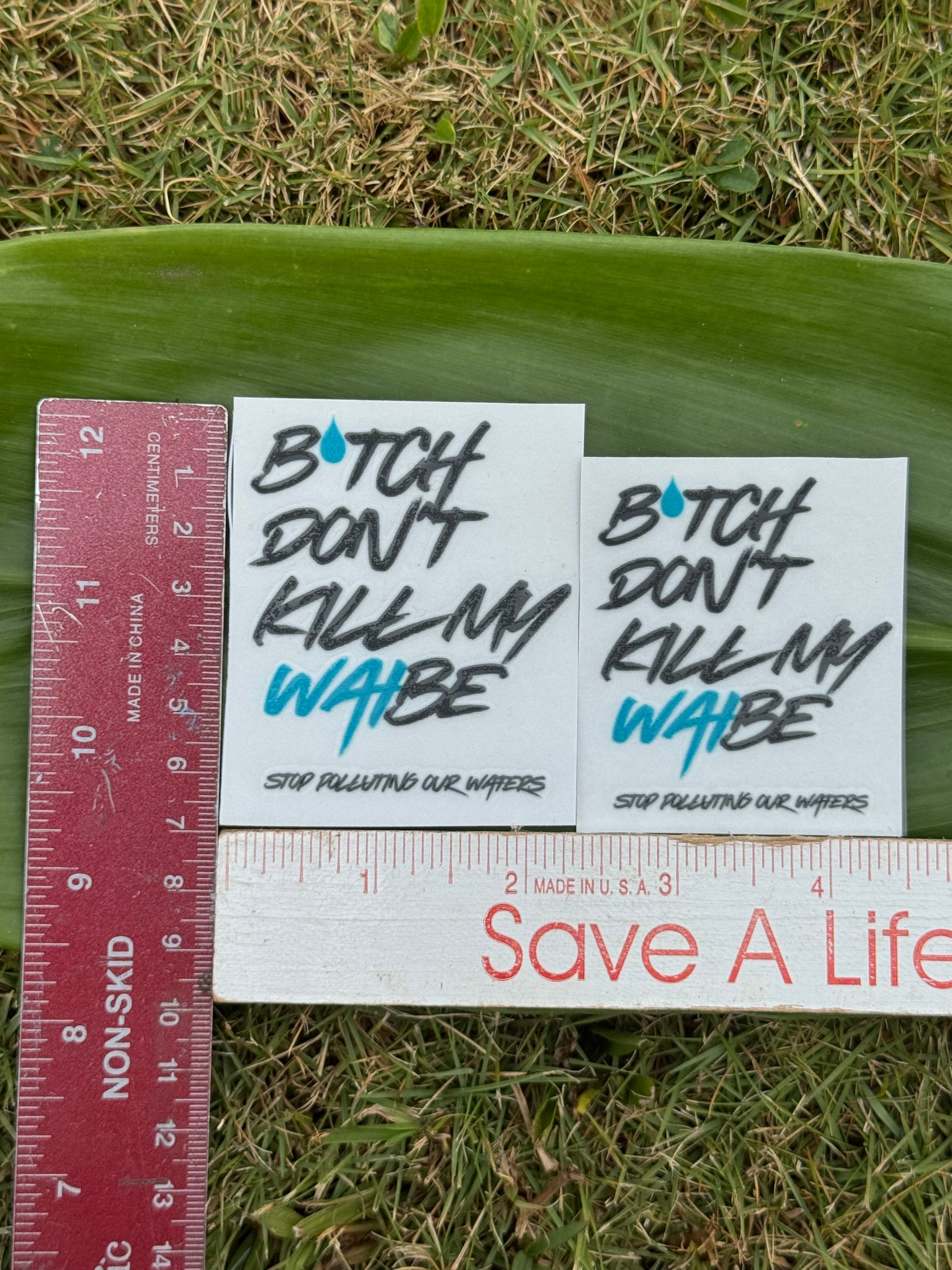B*tch Don't Kill My Waibe