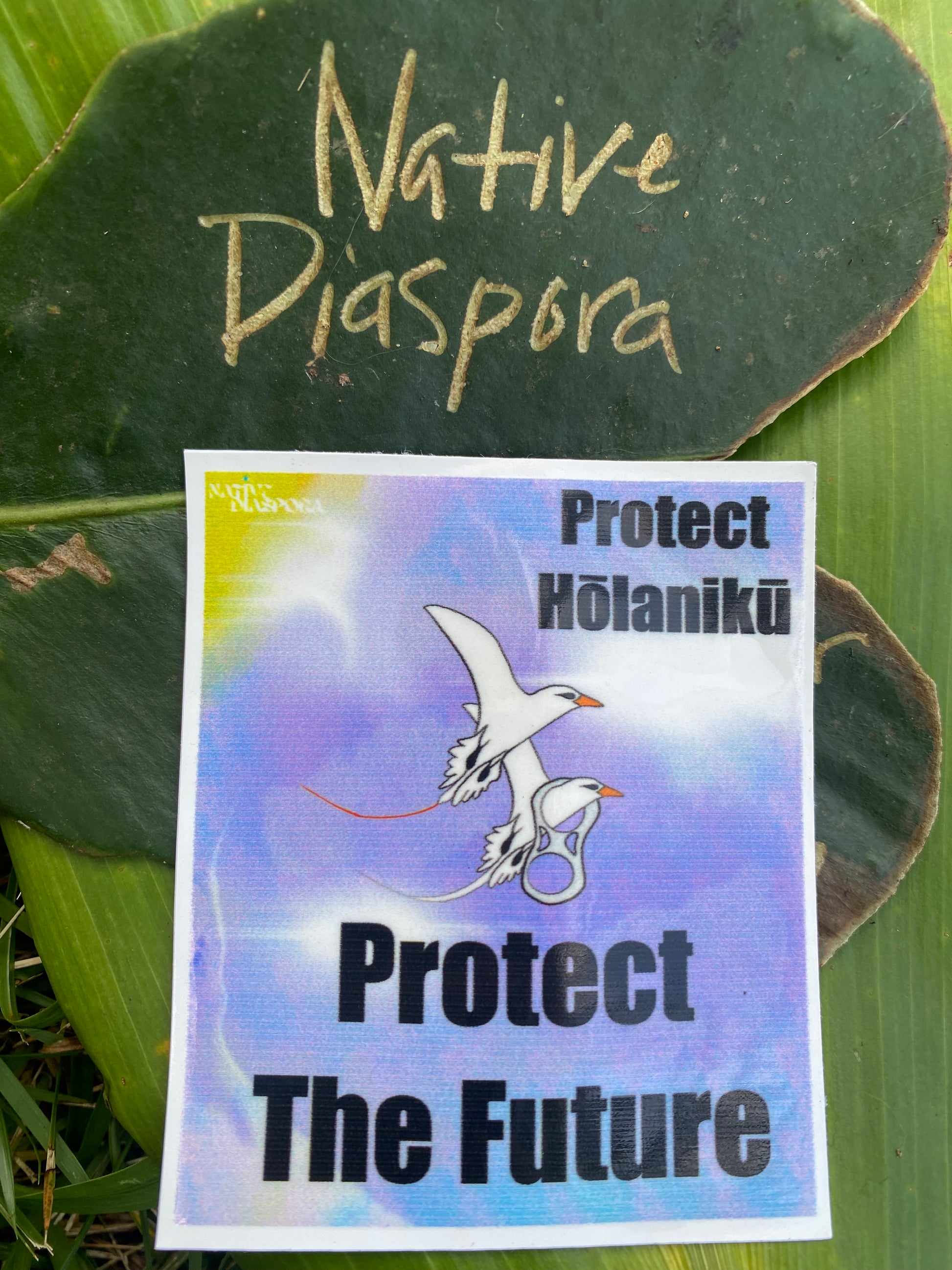 Protect Hōlanikū Protect The Future