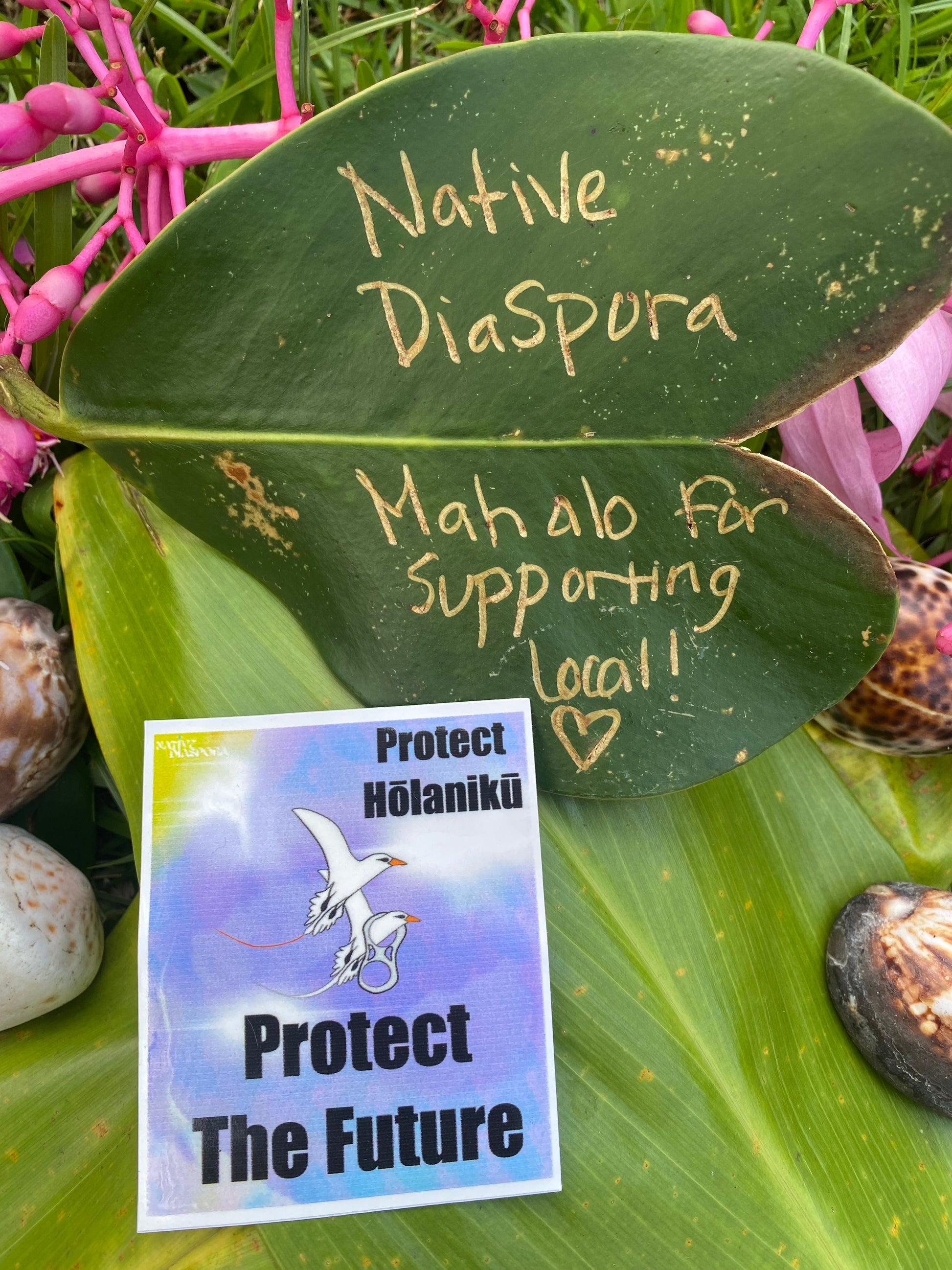 Protect Hōlanikū Protect The Future
